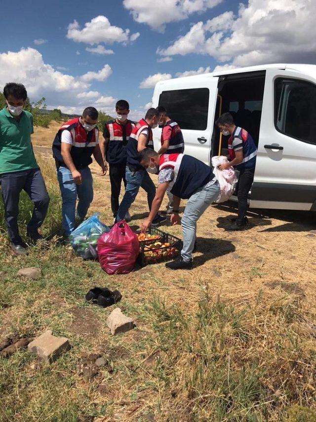 Bingöl’de jandarma, Covid-19 hastasının bahçesinde hasat yaptı