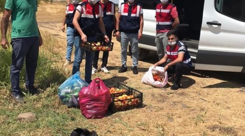 Bing&ouml;l&rsquo;de jandarma, Covid-19 hastasının bah&ccedil;esinde hasat yaptı