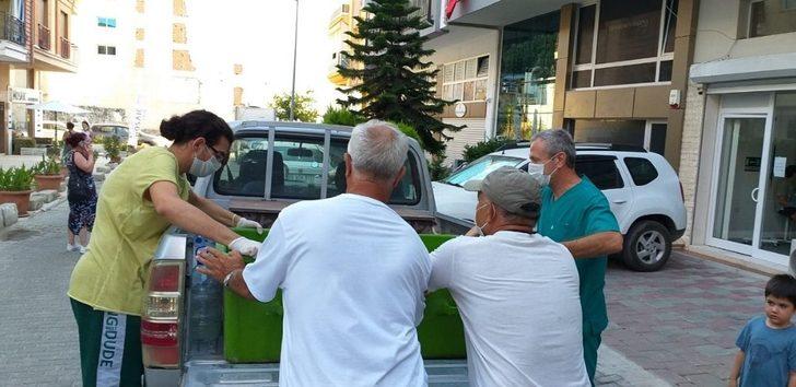 Ölü sanılan caretta caretta canlı çıktı G3