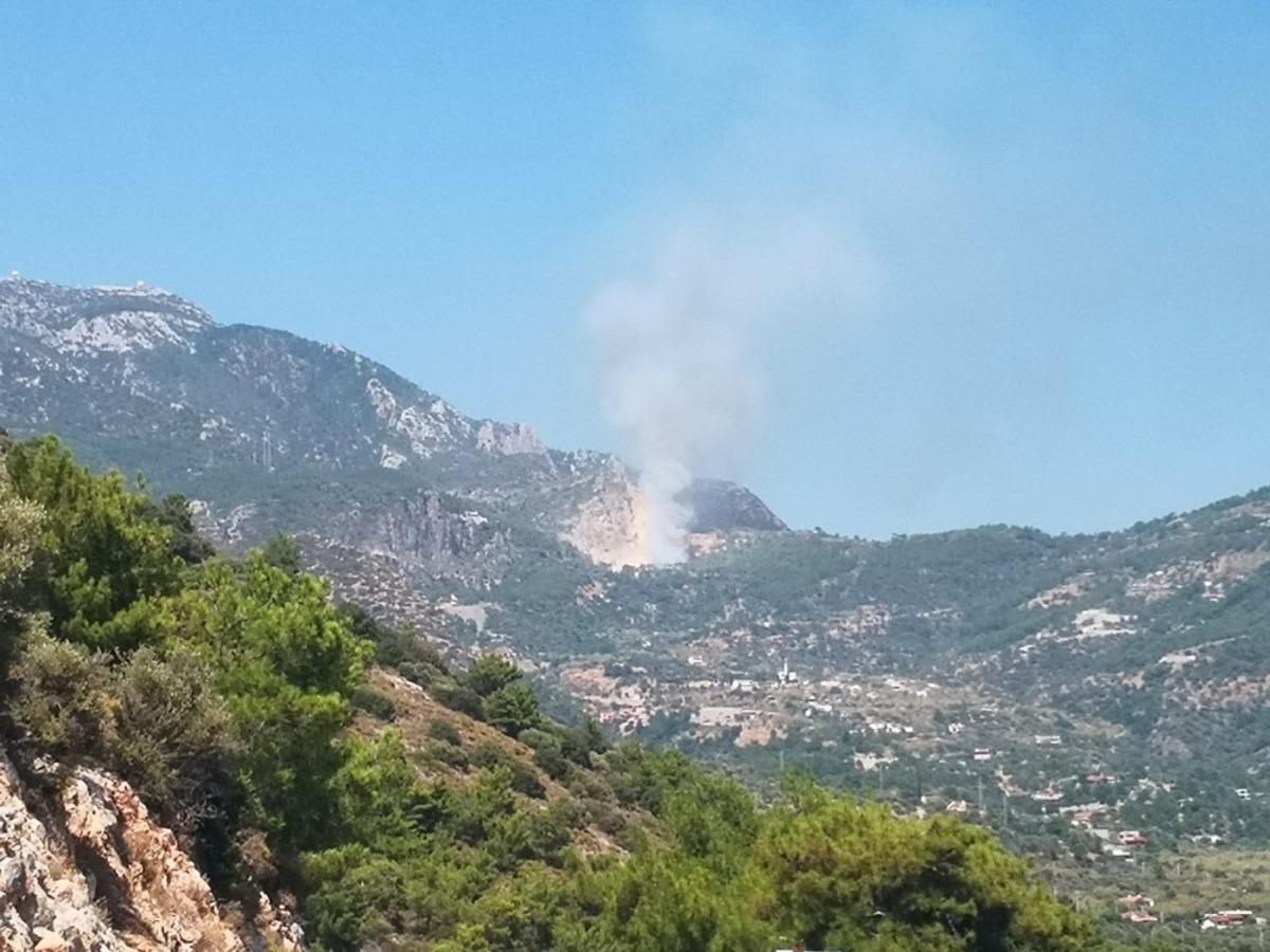 Dat&ccedil;a&rsquo;daki orman yangını kontrol altına alındı