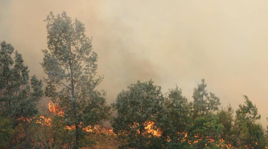 Kozan'da ormanlık alanda korkutan yangın