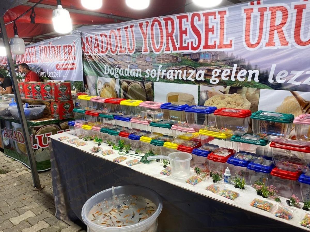 Osmancık&rsquo;ta y&ouml;resel &uuml;r&uuml;nler pazarı a&ccedil;ıldı
