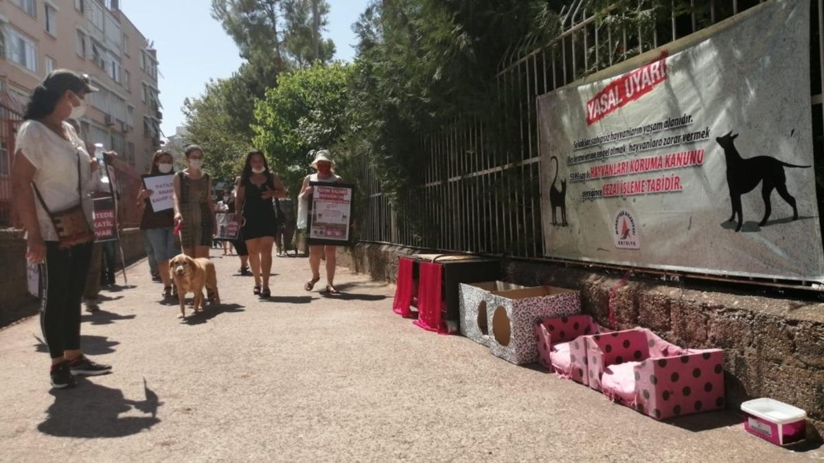 Hayvanseverler sitede camda asılı bulunan kedi i&ccedil;in toplandı