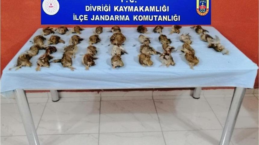 35 adet bıldırcın pahalıya patladı! Ka&ccedil;ak avcılara 23 bin TL para cezası