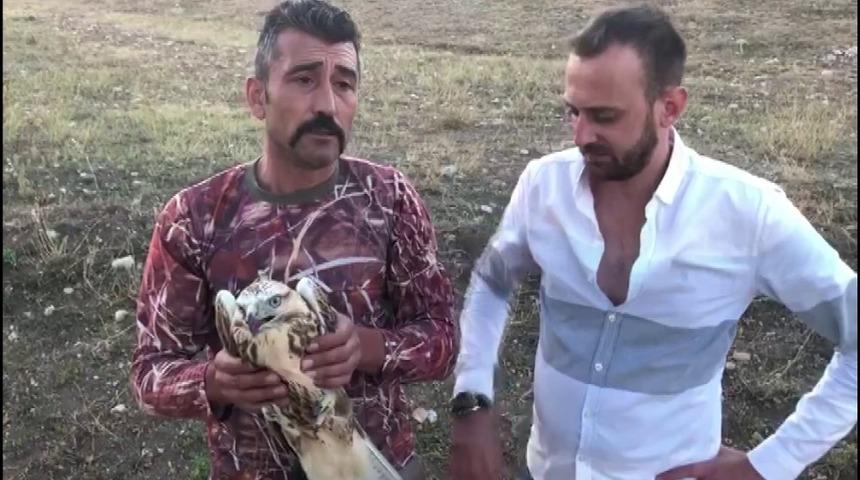 Yaralı Şahini itfaiye kurtardı