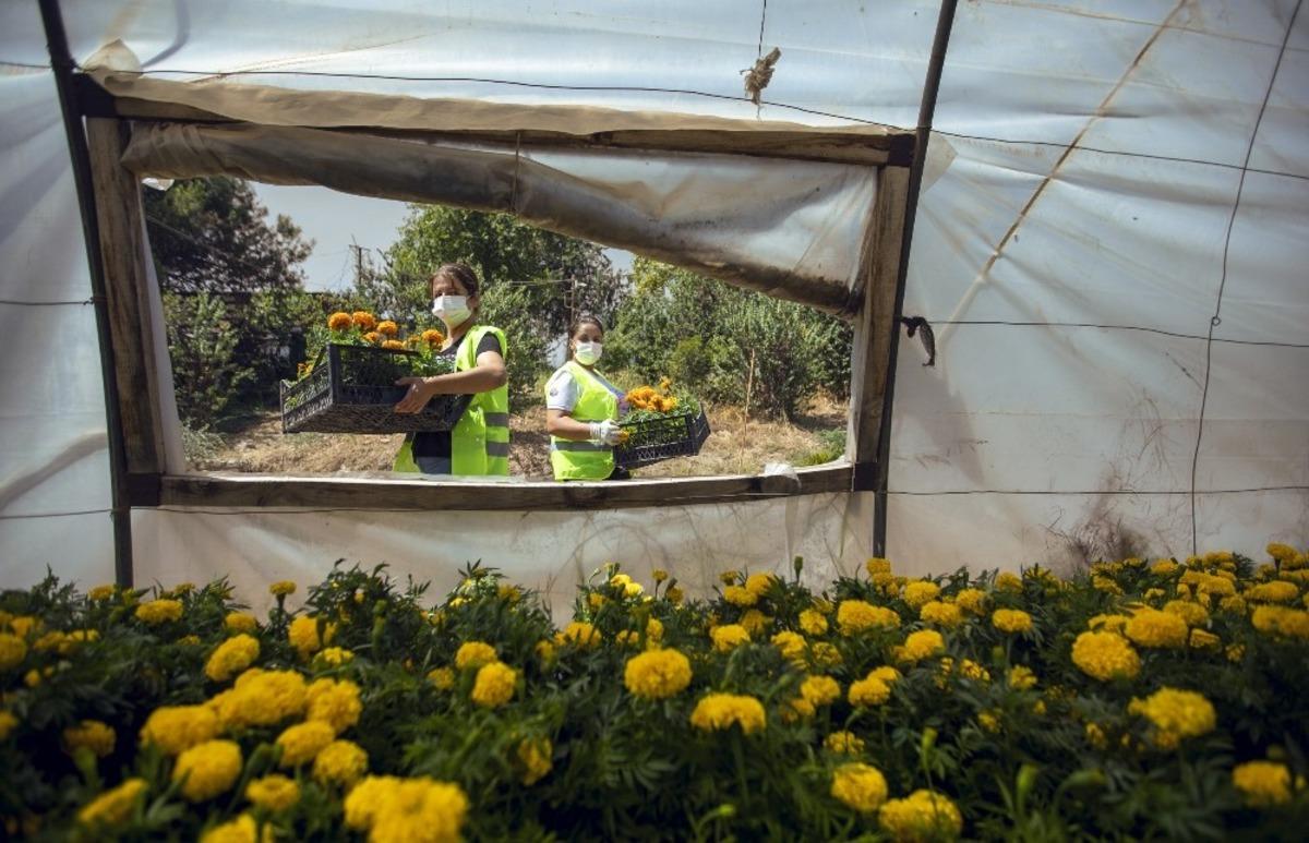 &Ccedil;i&ccedil;ekler kadınların ellerinde yeşeriyor