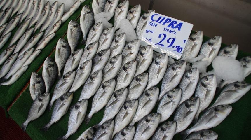 Balık&ccedil;ılar yeni sezondan umutlu