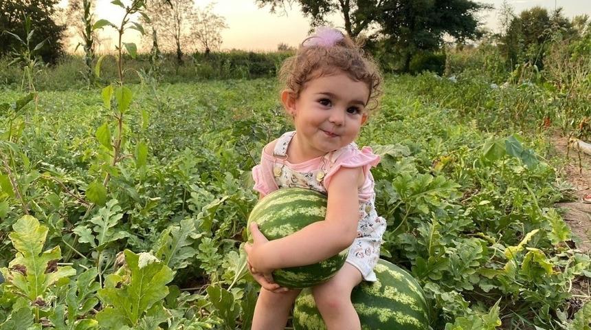 Erzincan&rsquo;ın bereketli topraklarında &uuml;retilen karpuzun hasadı s&uuml;r&uuml;yor