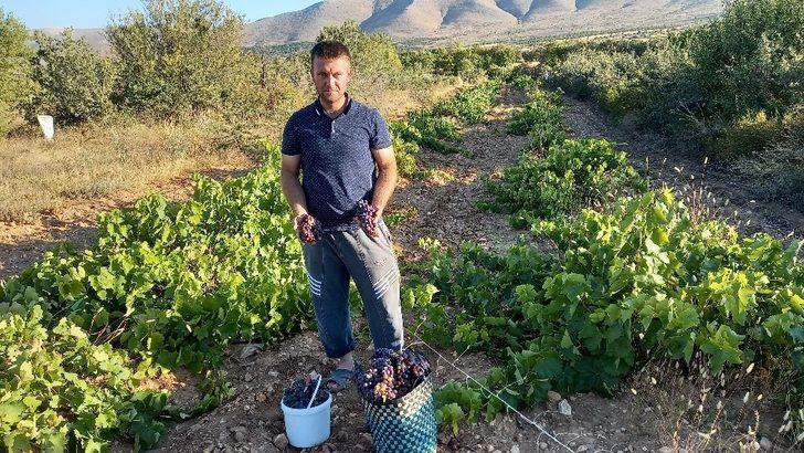 Tarlada izin olsun, yemeye yüzün olsun G2