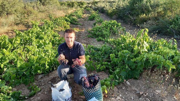 Tarlada izin olsun, yemeye yüzün olsun G3