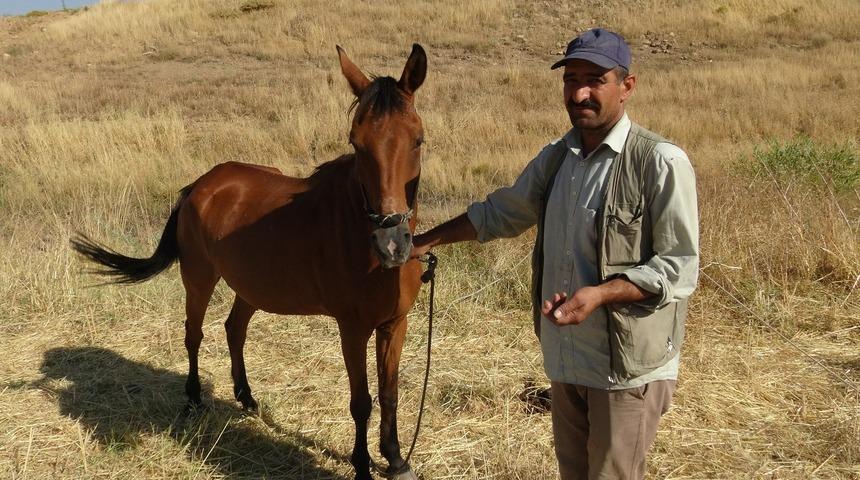 Batman'da ata tüfekli saldırı! Vücudundan 18 saçma çıktı