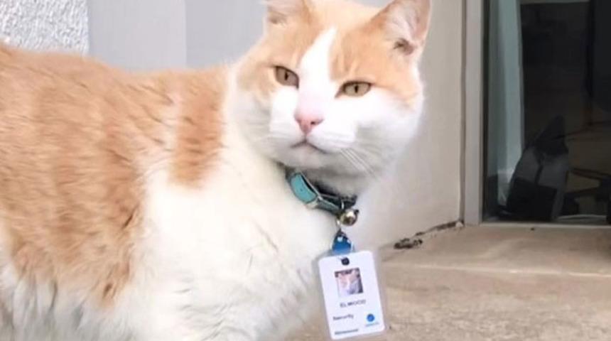 1 yıl &ouml;n&uuml;nden ayrılmadı, hastane tarafından işe alındı