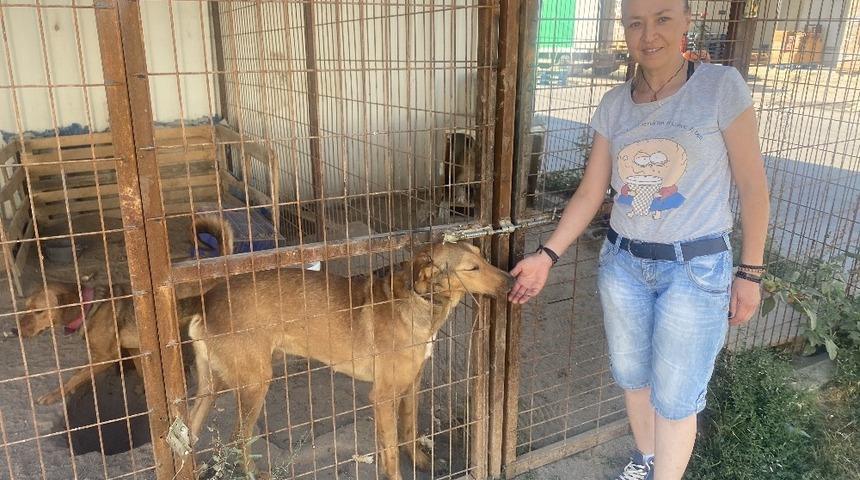 Engelli dostlarına bakıcılık yapıyor