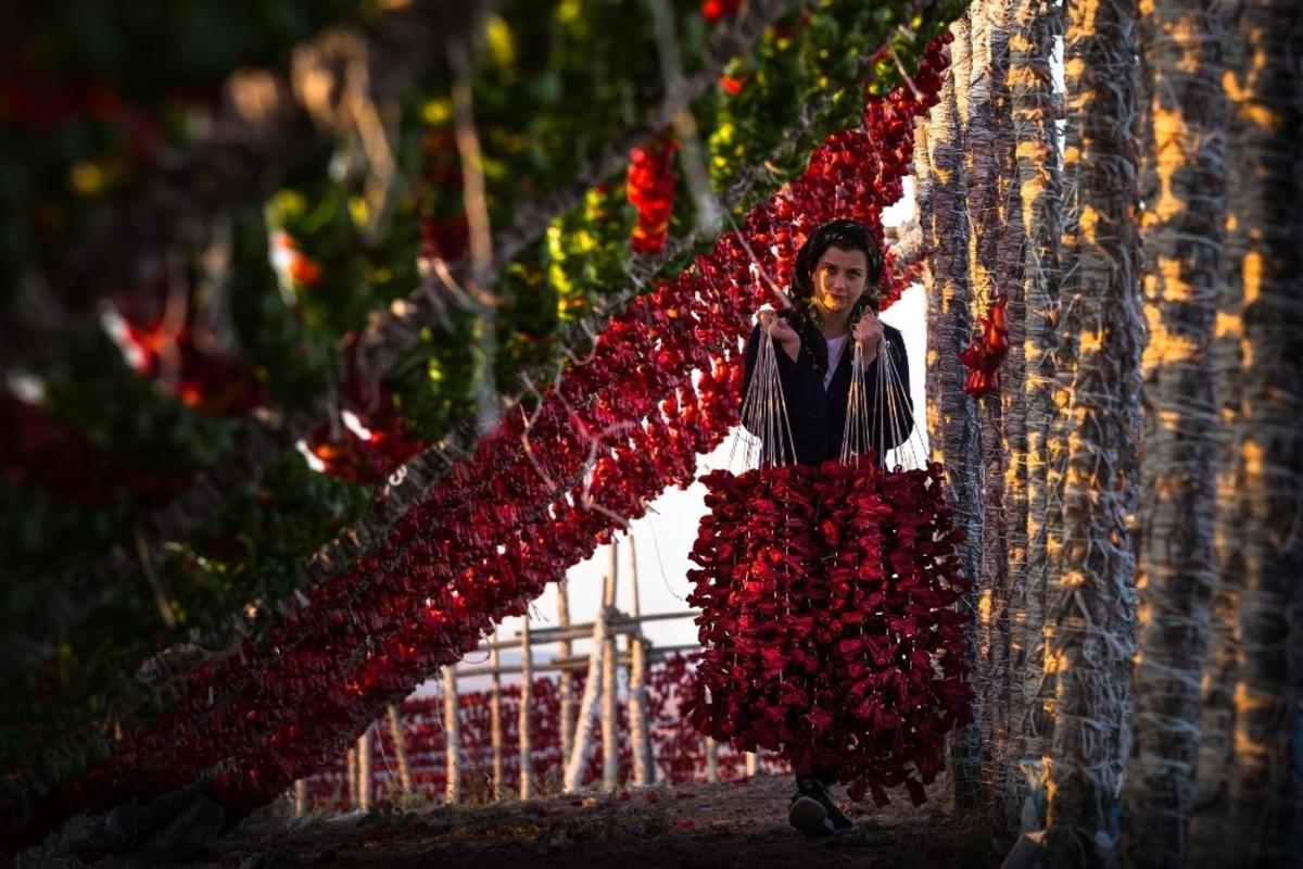 Gaziantep kurutmalığı d&uuml;nya mutfaklarının tercihi oldu