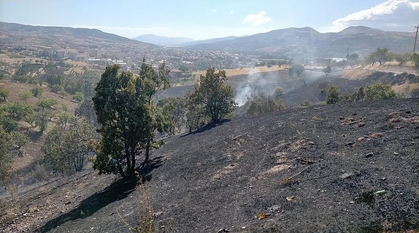 Otluk alanda &ccedil;ıkan yangın korkuttu