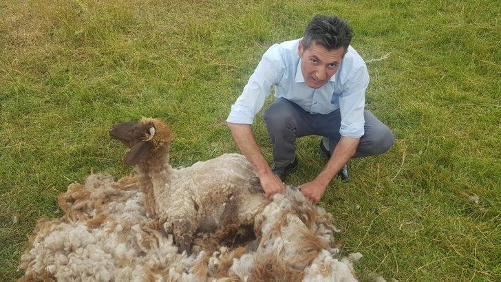 Hakkarili yaylacılar elektrik istiyor G2