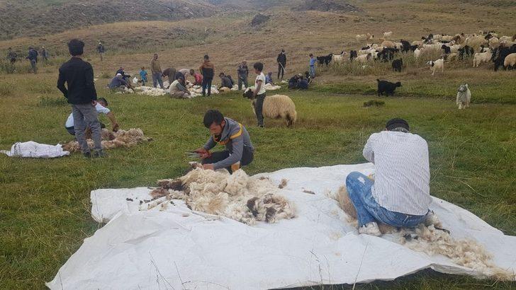 Hakkarili yaylacılar elektrik istiyor G3