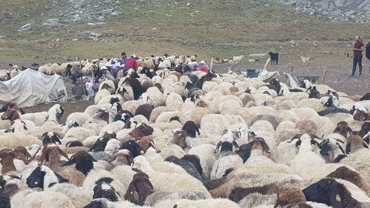 Hakkarili yaylacılar elektrik istiyor G5