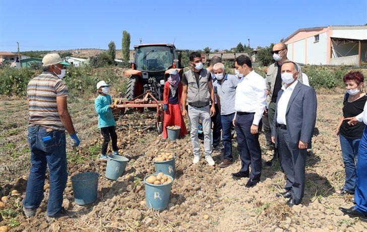Vali Masatlı’dan tarlalardaki hasada inceleme G2