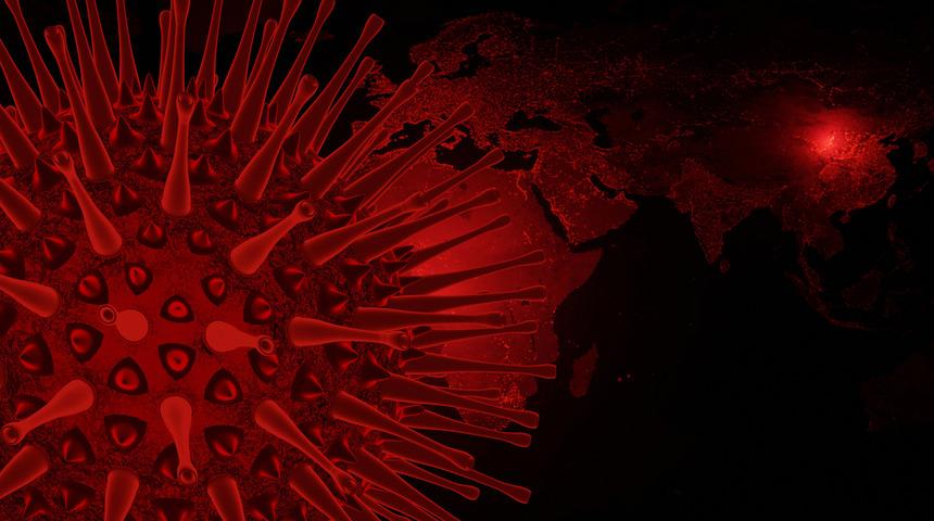 Bu araştırma dünyayı şaşkına çevirdi: Ölüm çığlığı!