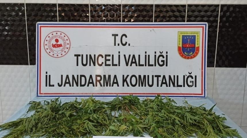 Tunceli’de uyuşturucuyla mücadele