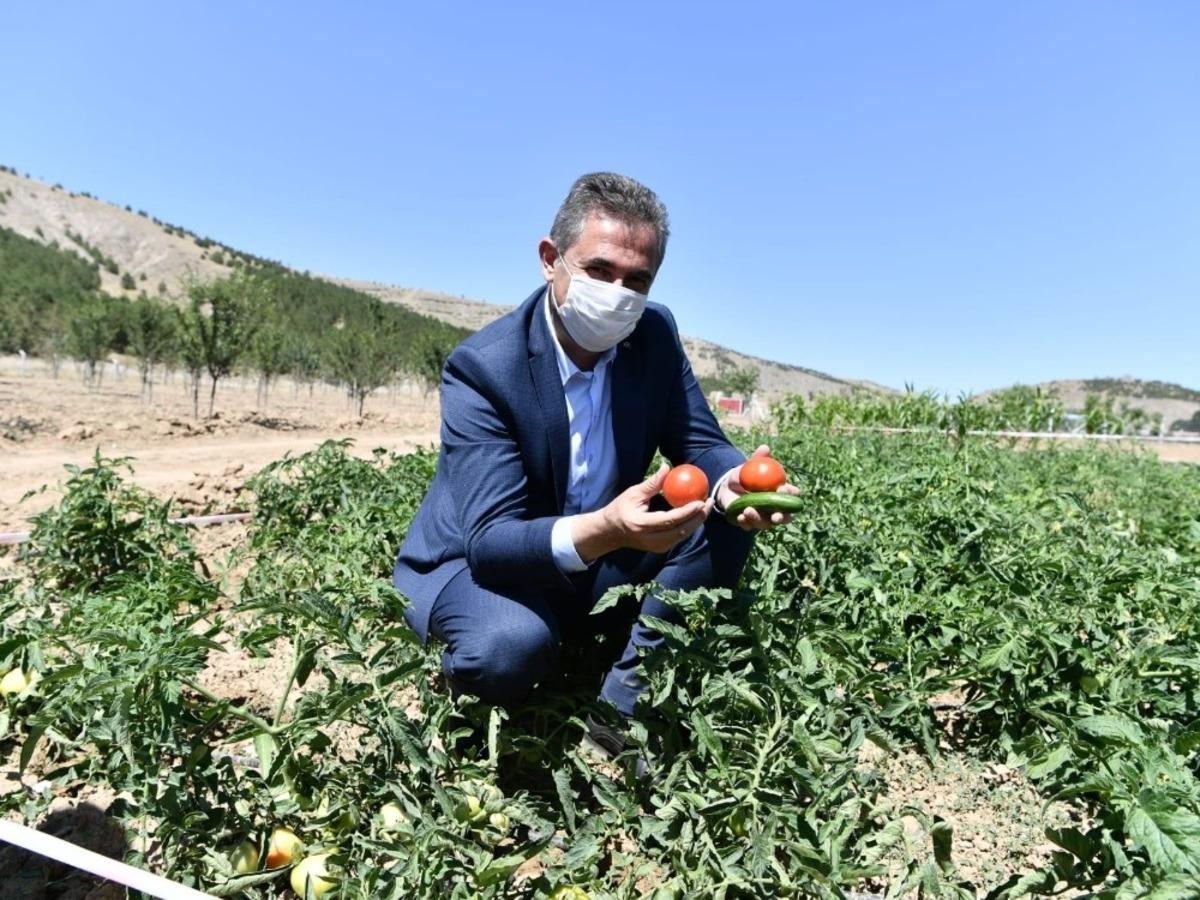 Mamak tarımda hedef b&uuml;y&uuml;t&uuml;yor