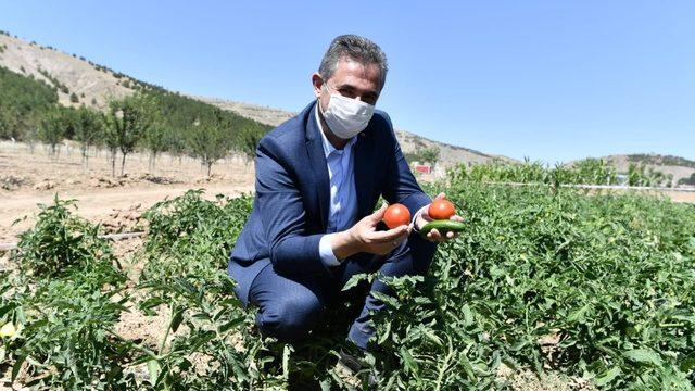Mamak tarımda hedef büyütüyor