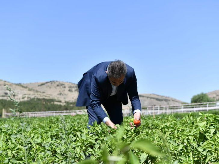Mamak tarımda hedef büyütüyor G2