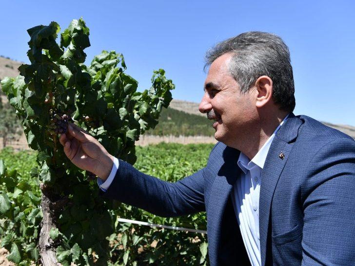 Mamak tarımda hedef büyütüyor G3