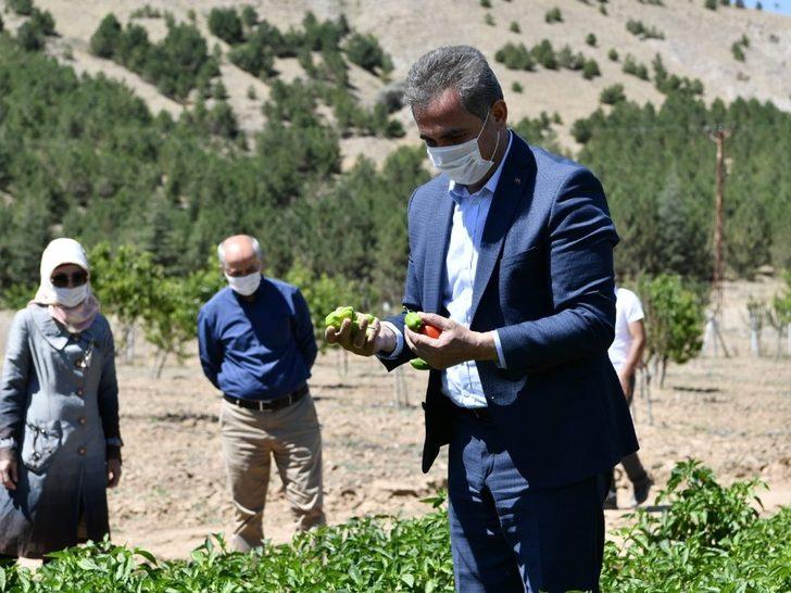 Mamak tarımda hedef büyütüyor G5