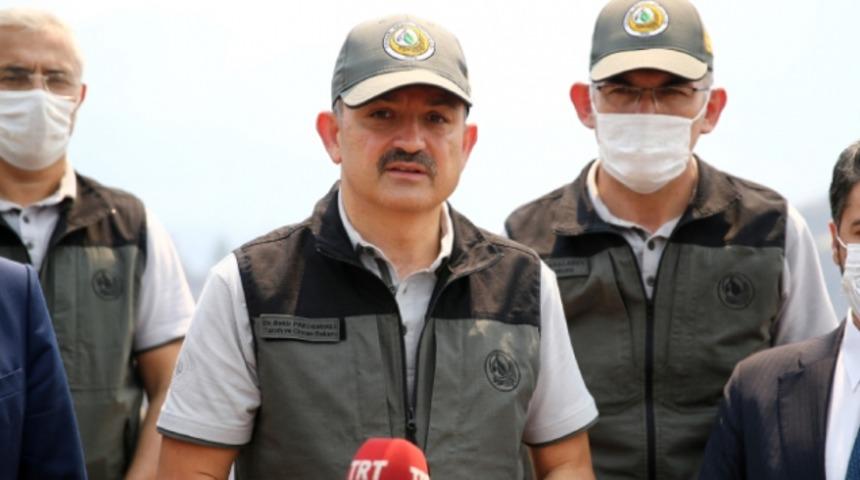 Bakan Pakdemirli: Kozan'daki yangın kontrol altına alındı