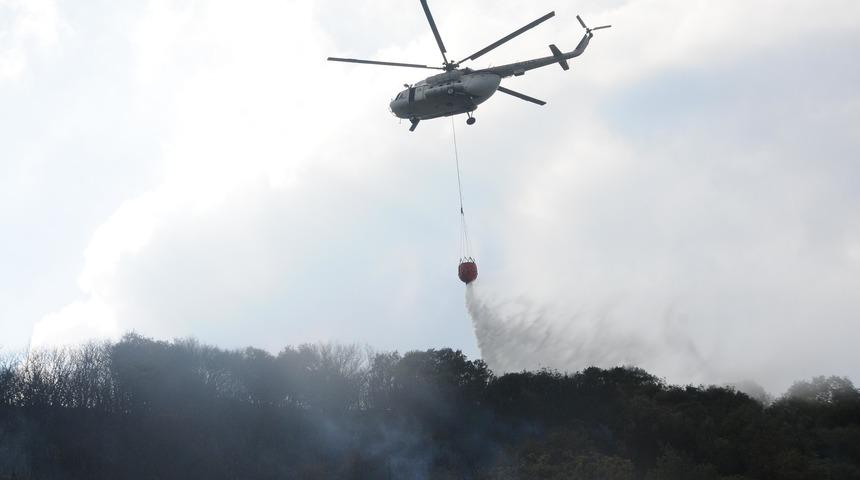 Orman yangını ş&uuml;phelisi: Yere d&uuml;şen &ccedil;akmağın sıcaktan patlamasıyla yangın &ccedil;ıktı