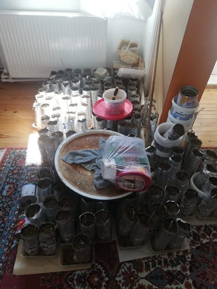 Kenevir yetiştirmek için özel oda kurulan eve operasyon G4