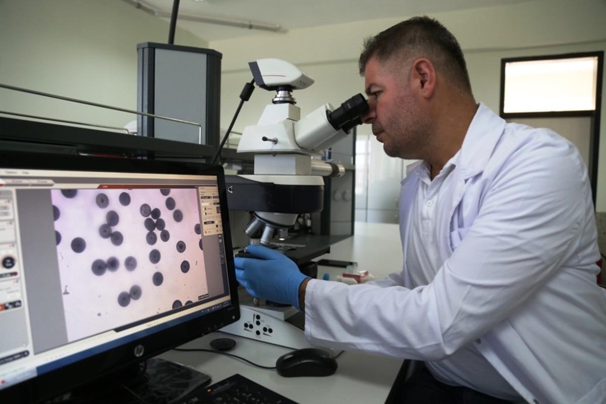 AS&Uuml;&rsquo;l&uuml; bilim insanından kırık tedavileri i&ccedil;in yeni keşif