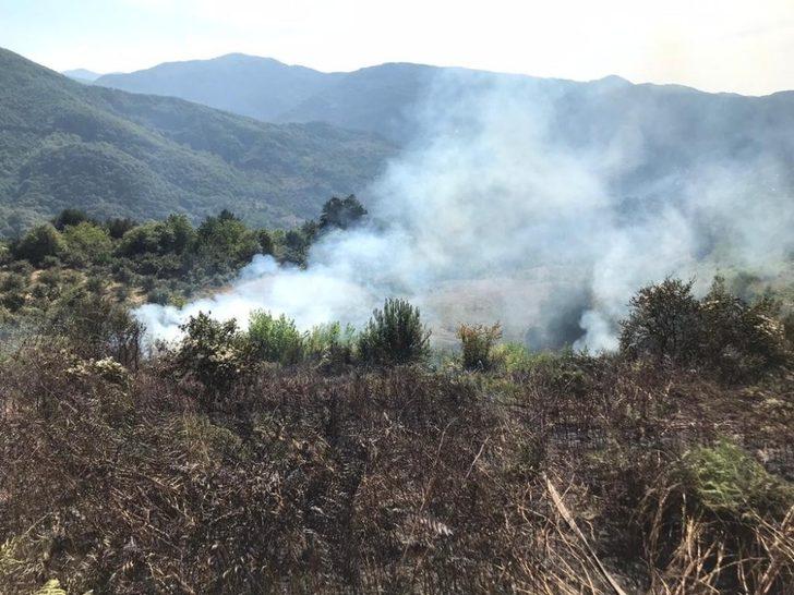 Anız yakarak 6 dönümlük araziye zarar verince cezalandırıldı G1