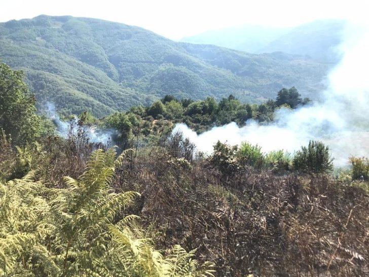 Anız yakarak 6 dönümlük araziye zarar verince cezalandırıldı G3