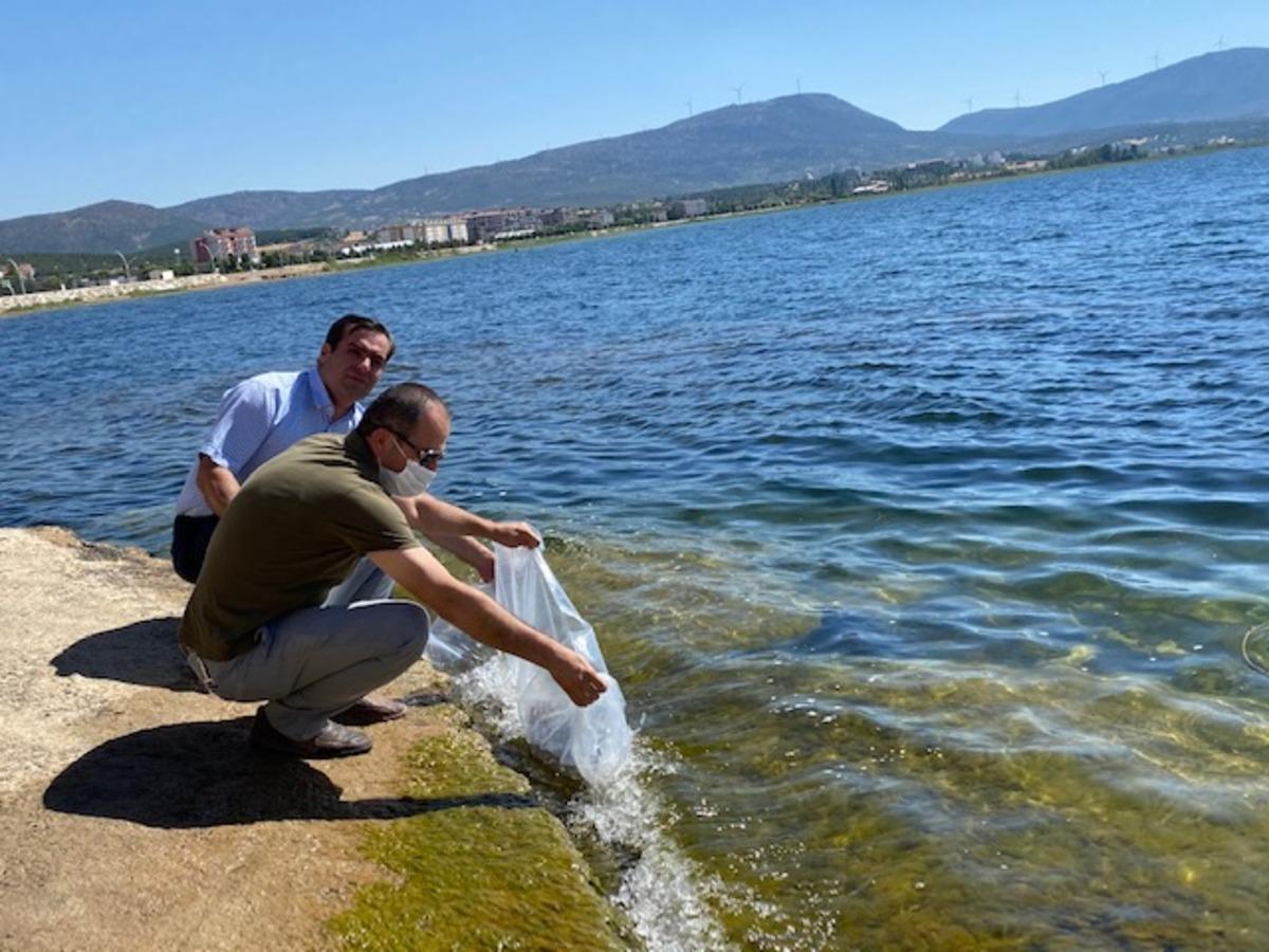 Beyşehir G&ouml;l&uuml; ve g&ouml;letlere yavru balık takviyesi