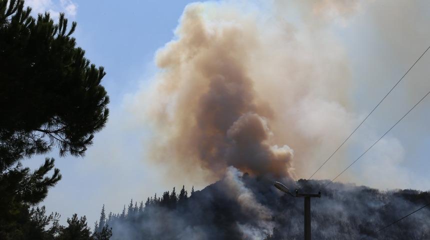 Kocaeli’deki orman yangını ile ilgili 1 kişi gözaltına alındı
