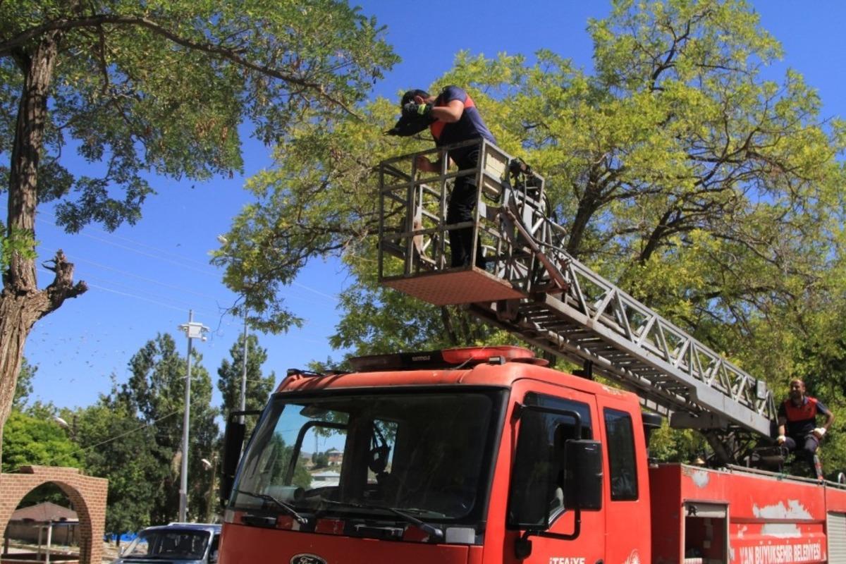 Ağa&ccedil;ta ayağına ip dolanan karga kurtarıldı