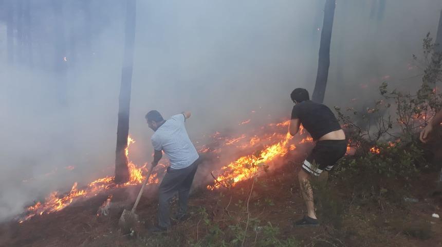 Maltepe'de ormanlık alanda korkutan yangın