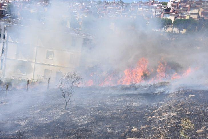 Sinop’ta ot yangını G1