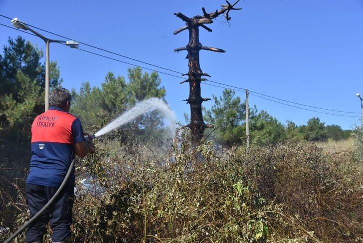 Sinop’ta ot yangını G2