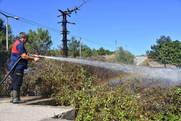 Sinop’ta ot yangını G3