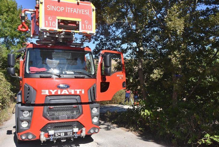 Sinop’ta ot yangını G4