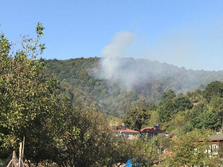 GÜNCELLEME - Sakarya'da çıkan orman yangını söndürüldü G1