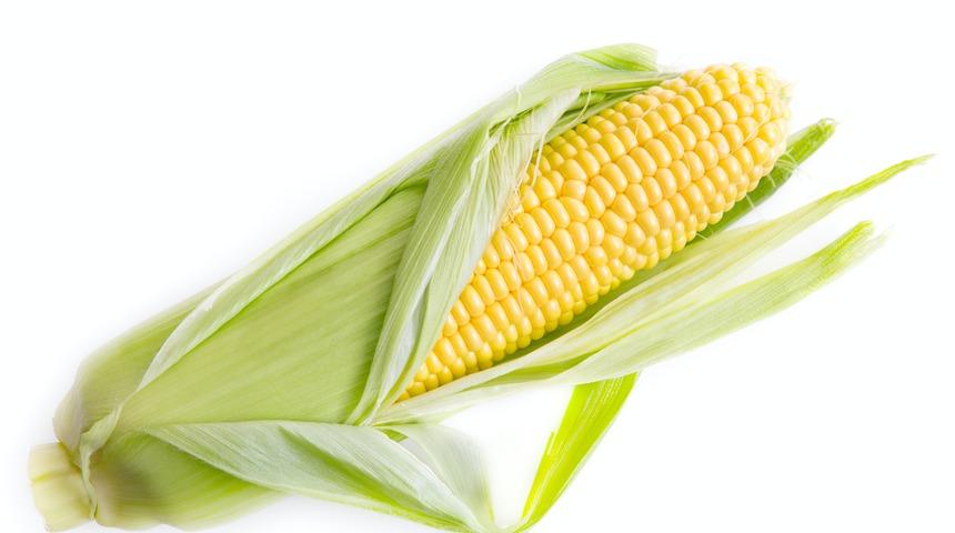 Çorbadan mücvere, salatadan mezeye... Lezzetiyle hayran bırakan 4 lezzetli mısırlı tarif!