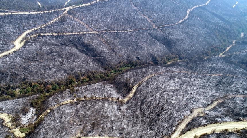 Adana Kozan'daki yangında acı tablo! 280 futbol sahası büyüklüğünde alan kül oldu