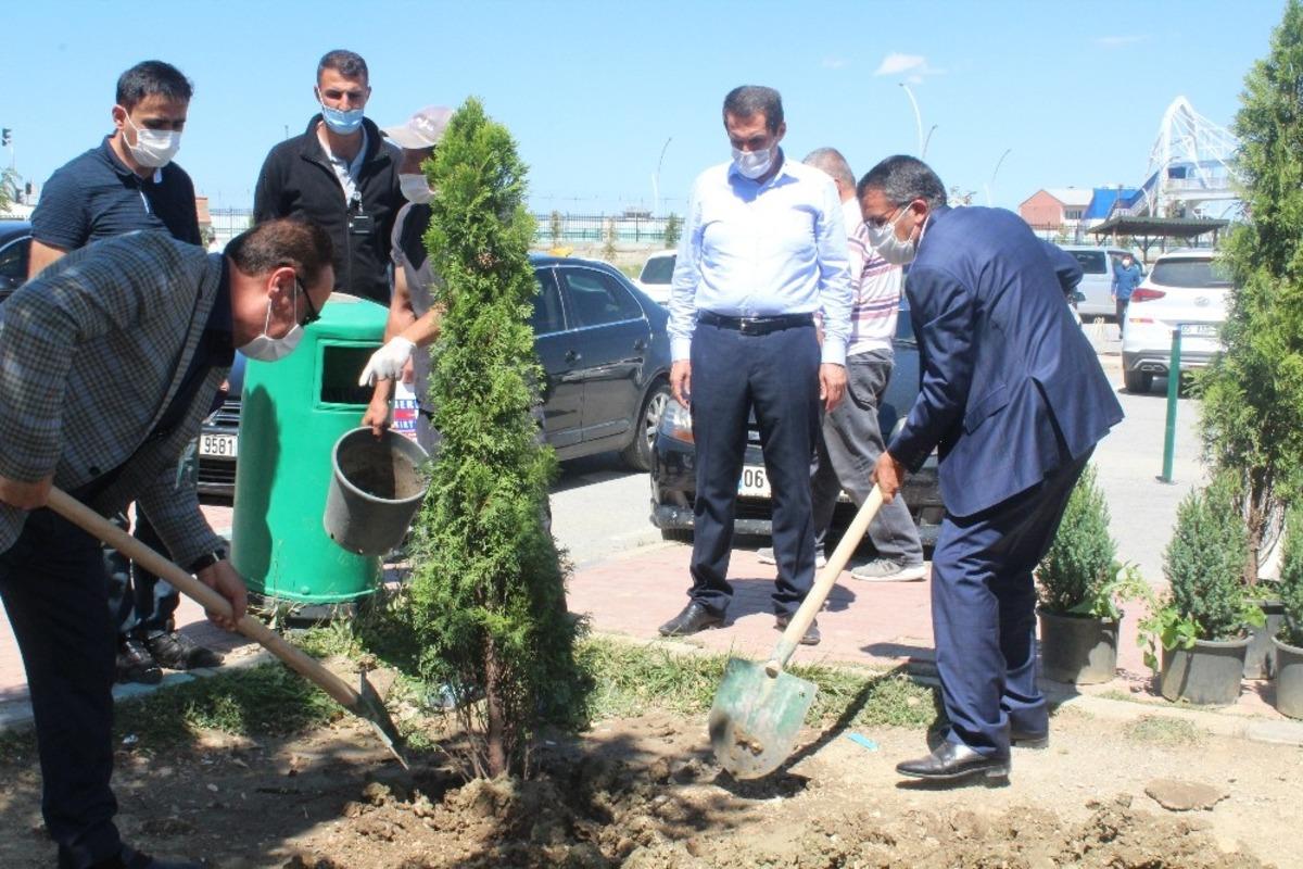Van OSB hastane bah&ccedil;esine fidan dikti