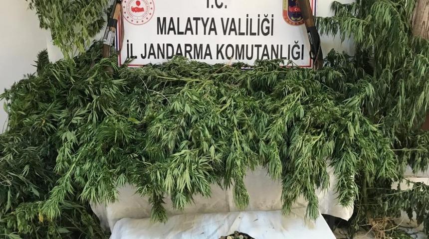 Malatya&rsquo;da ka&ccedil;ak kenevir operasyonu: 2 g&ouml;zaltı