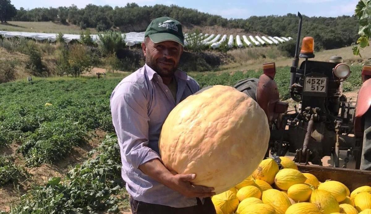 Denemek i&ccedil;in diktiler aldıkları verim y&uuml;z g&uuml;ld&uuml;rd&uuml;